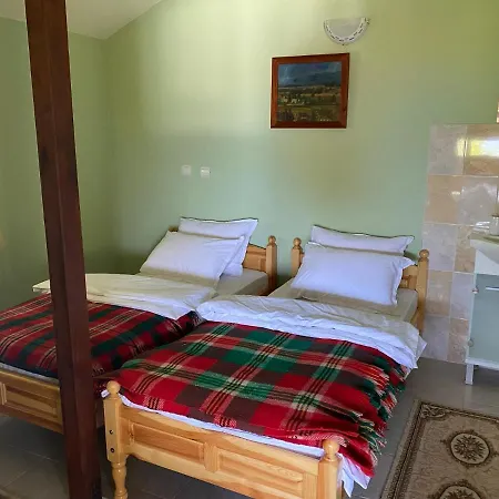 Manevi Petrich (Blagoevgrad)
